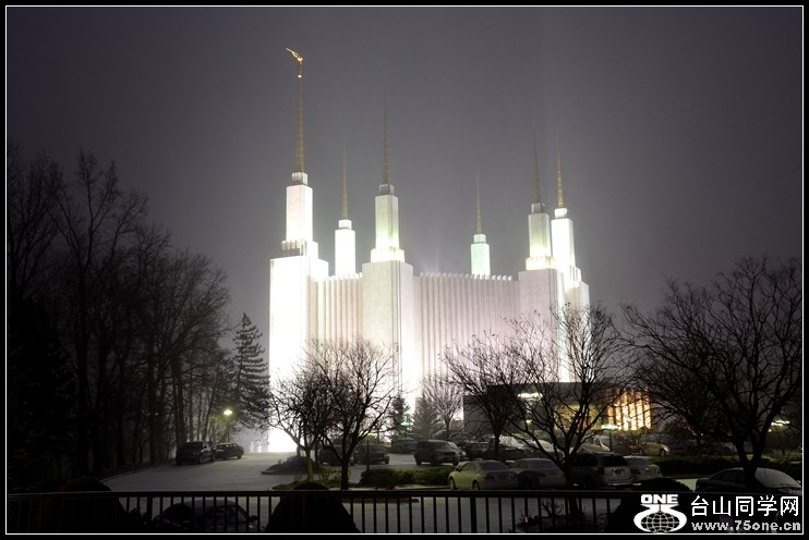 2013-2-2 Flowers 219_.jpg