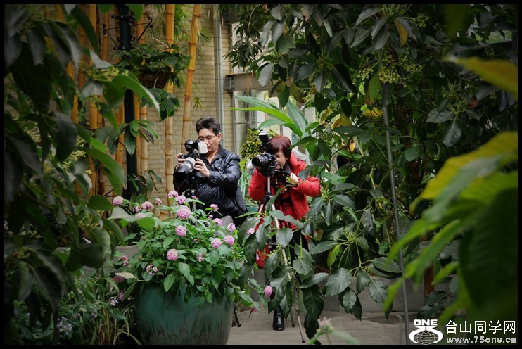 2013-2-2 Flowers 055_.jpg