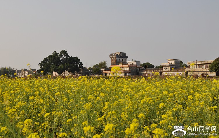 DSC_0884.JPG