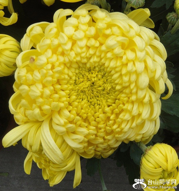 DSC06442_.jpg
