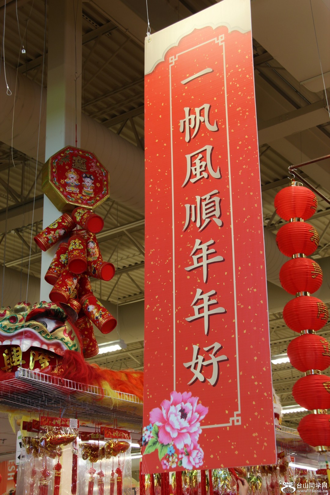 IMG_6367 (Large).JPG