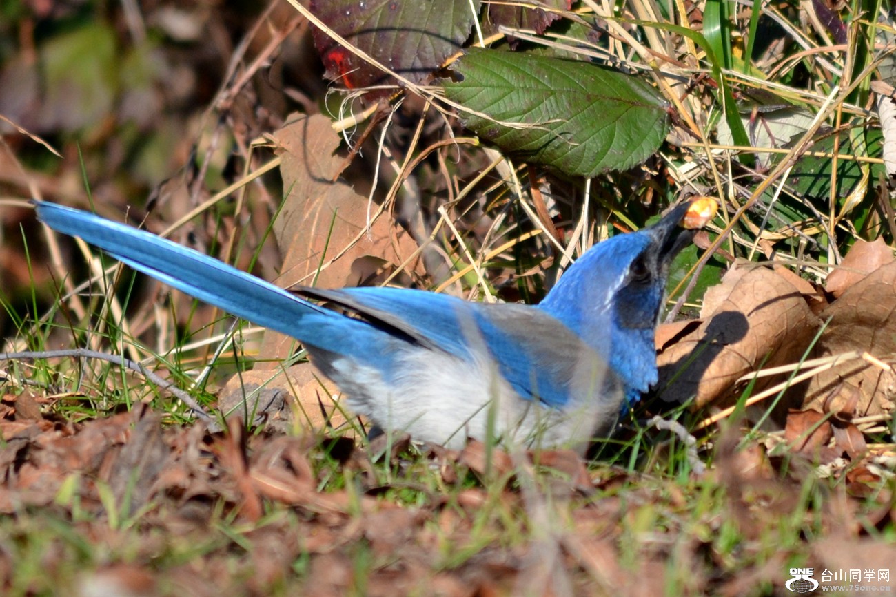 DSC_8219_26.jpg