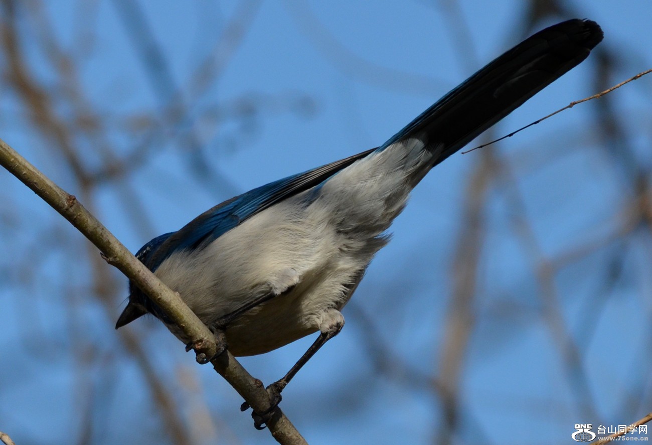 DSC_8183_21.jpg