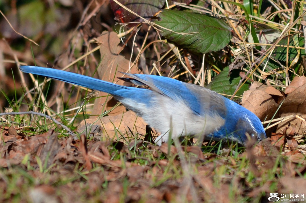 DSC_8212_27.jpg