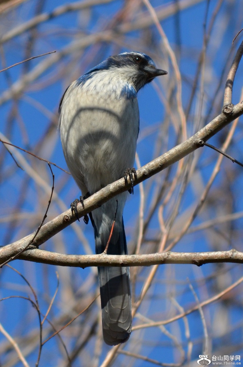 DSC_8239_28.jpg