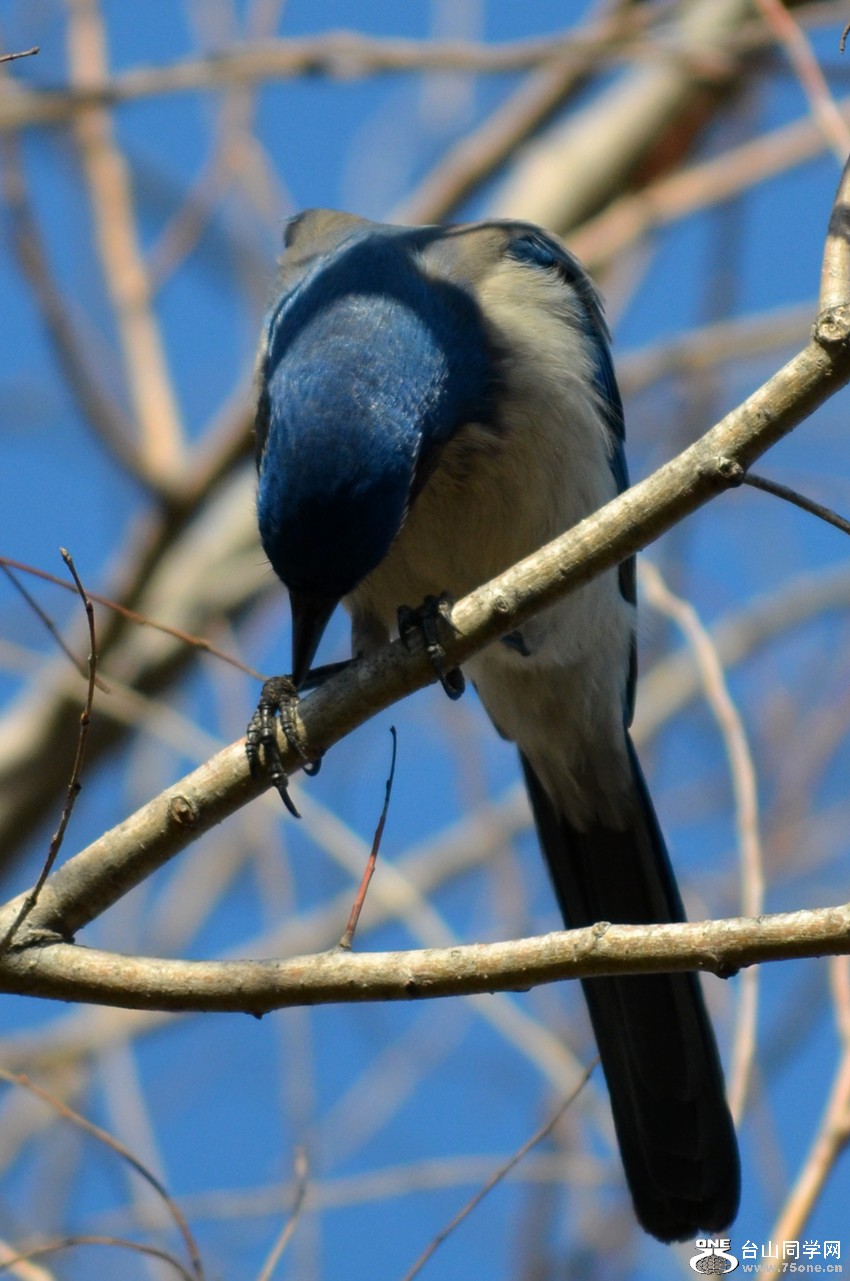 DSC_8298_30.jpg
