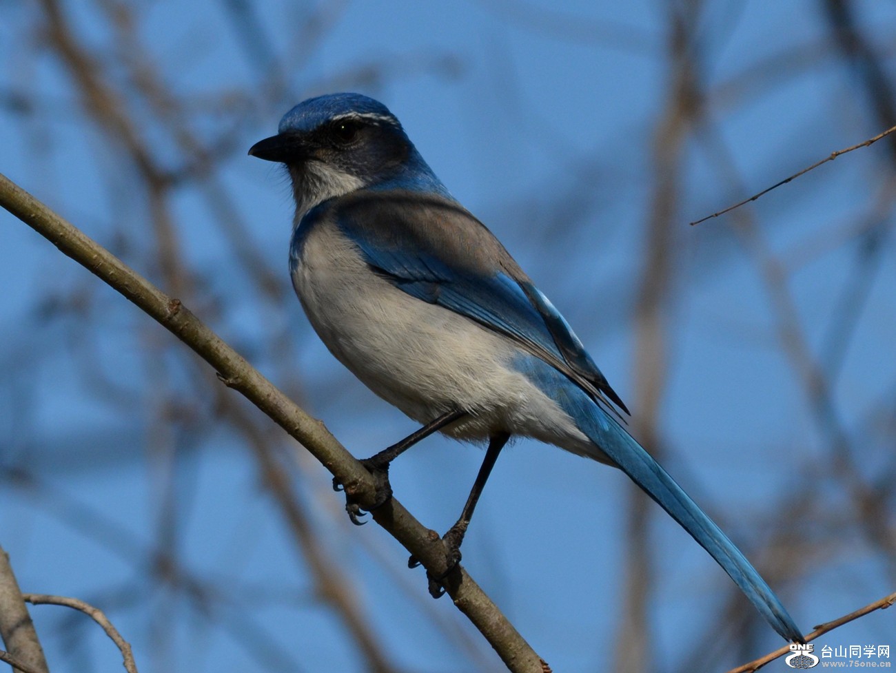 DSC_8176_20.jpg