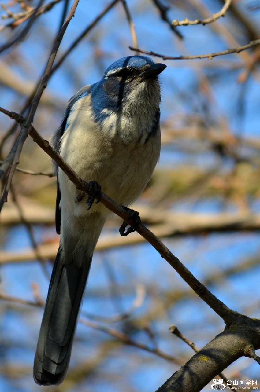 DSC_7936_11.jpg