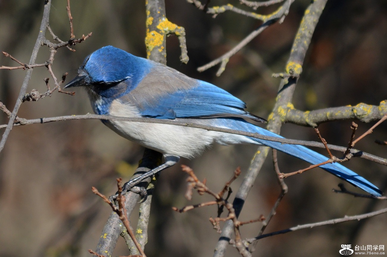 DSC_7993_13.jpg