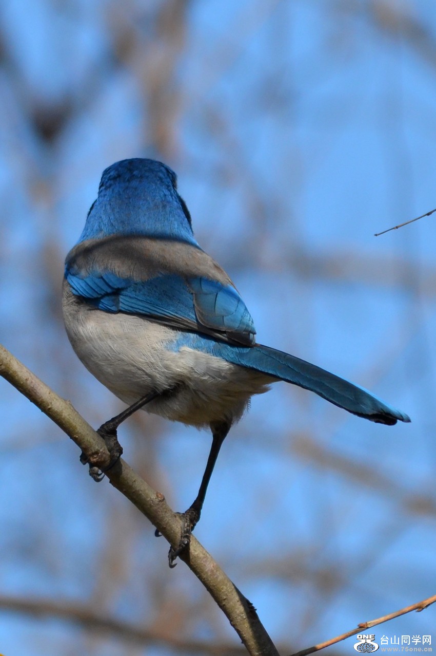 DSC_8159_19.jpg