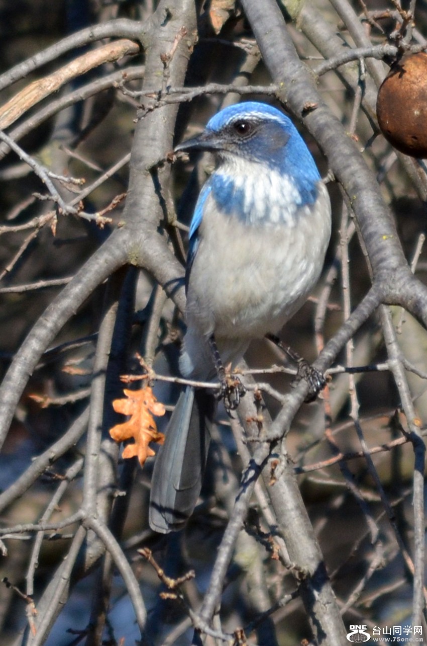 DSC_5147_6.jpg