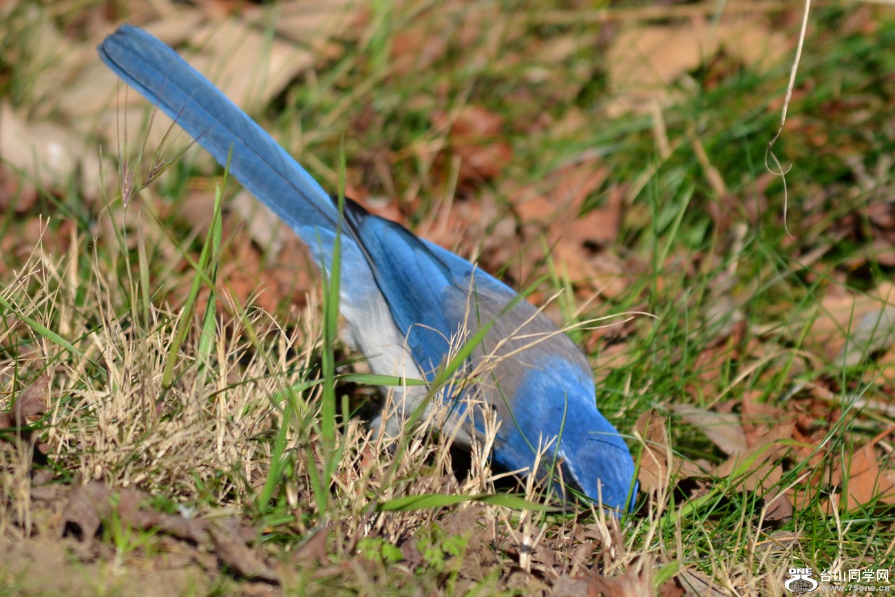 DSC_7998_13.jpg