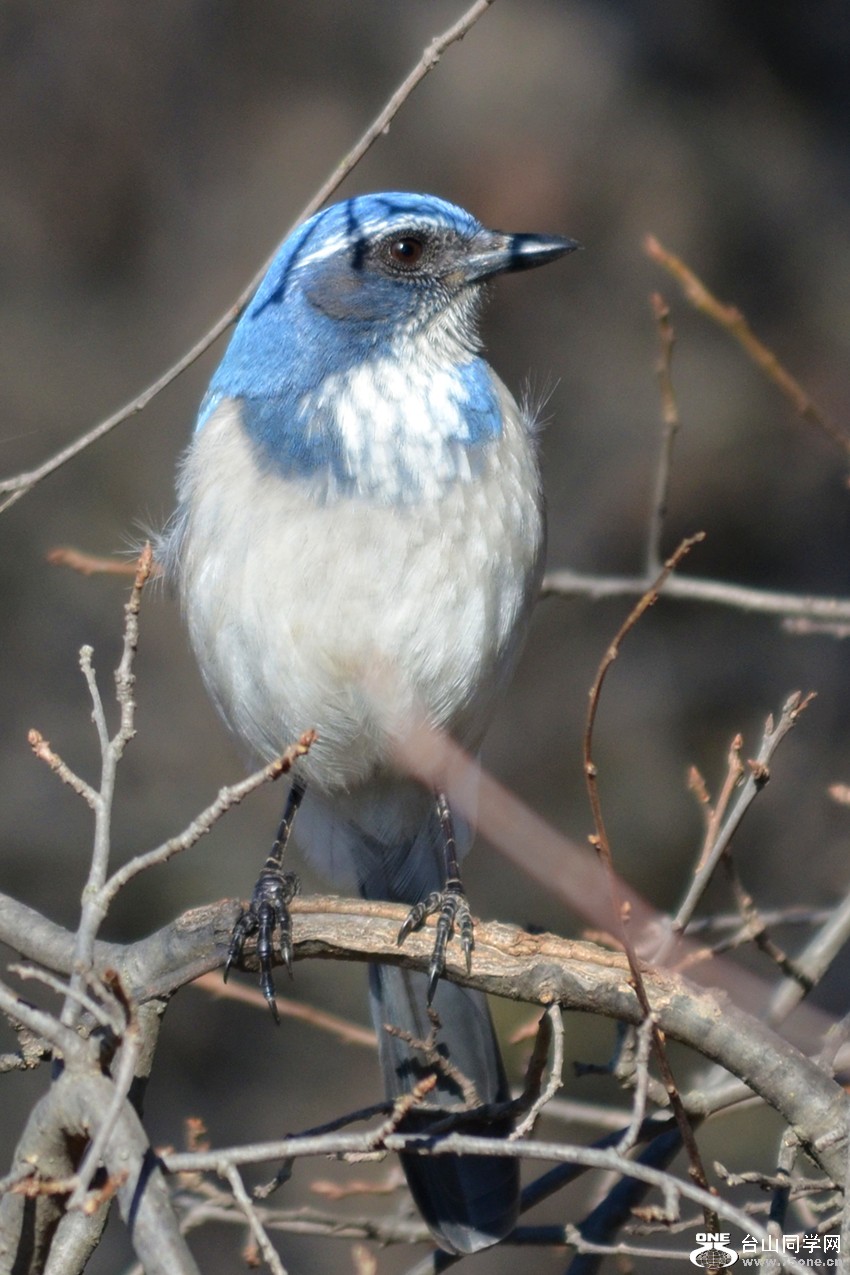 DSC_5159_4.jpg