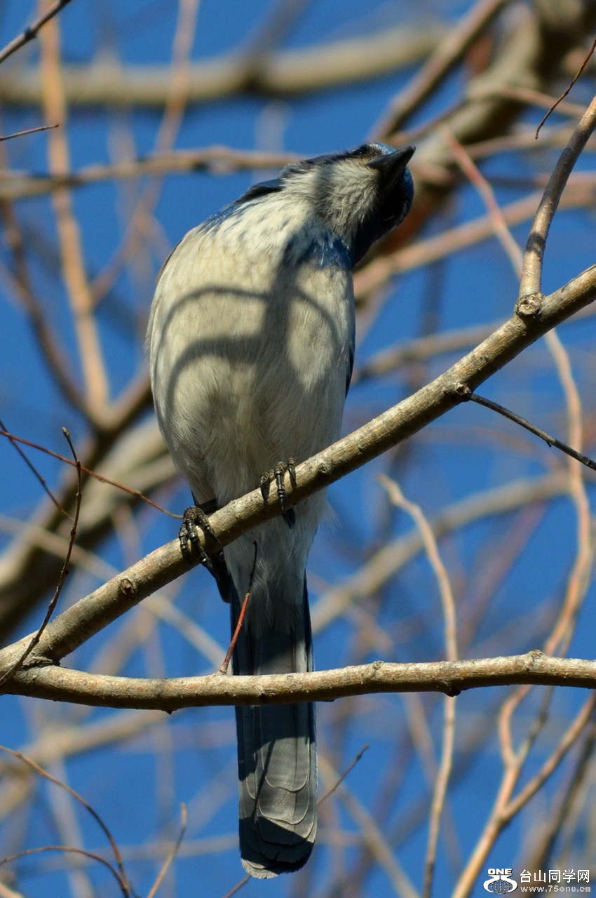 DSC_8319_32.jpg