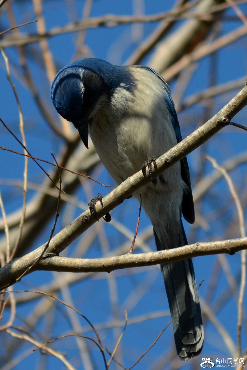 DSC_8287_29.jpg