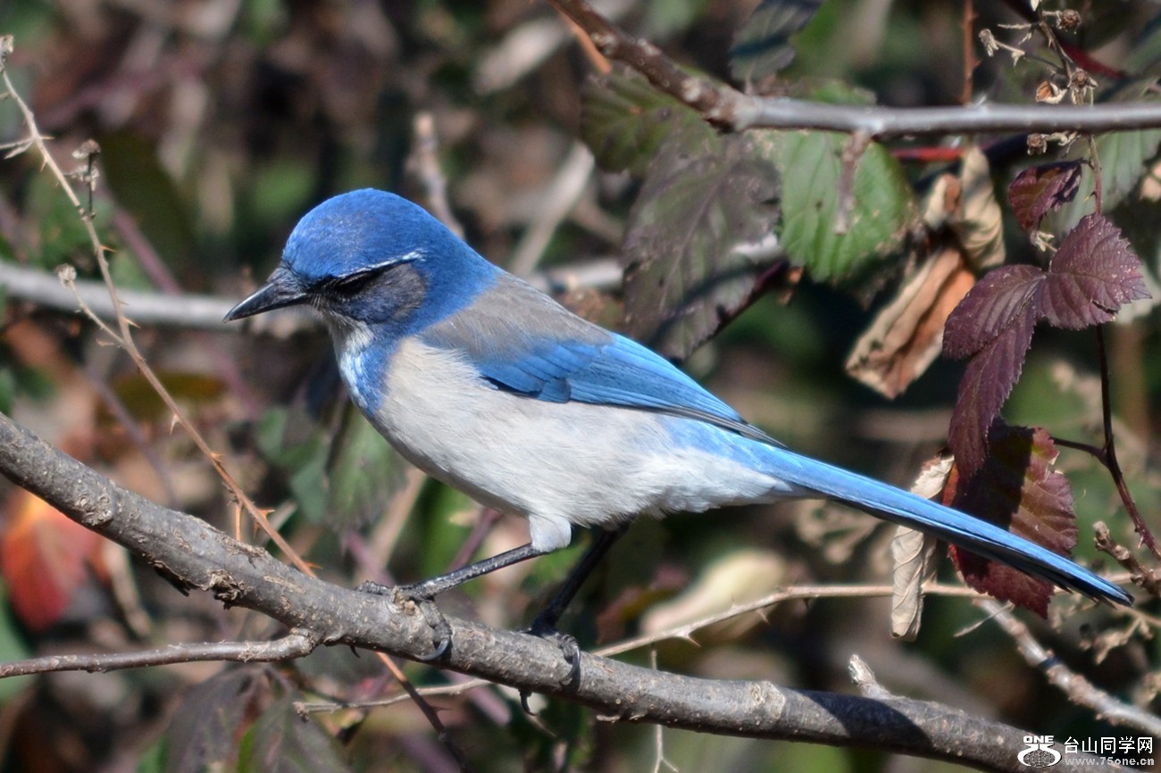 DSC_8191_22.jpg