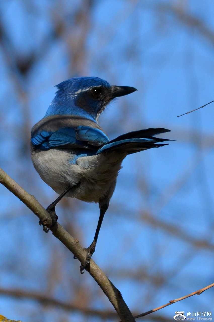DSC_8157_18.jpg