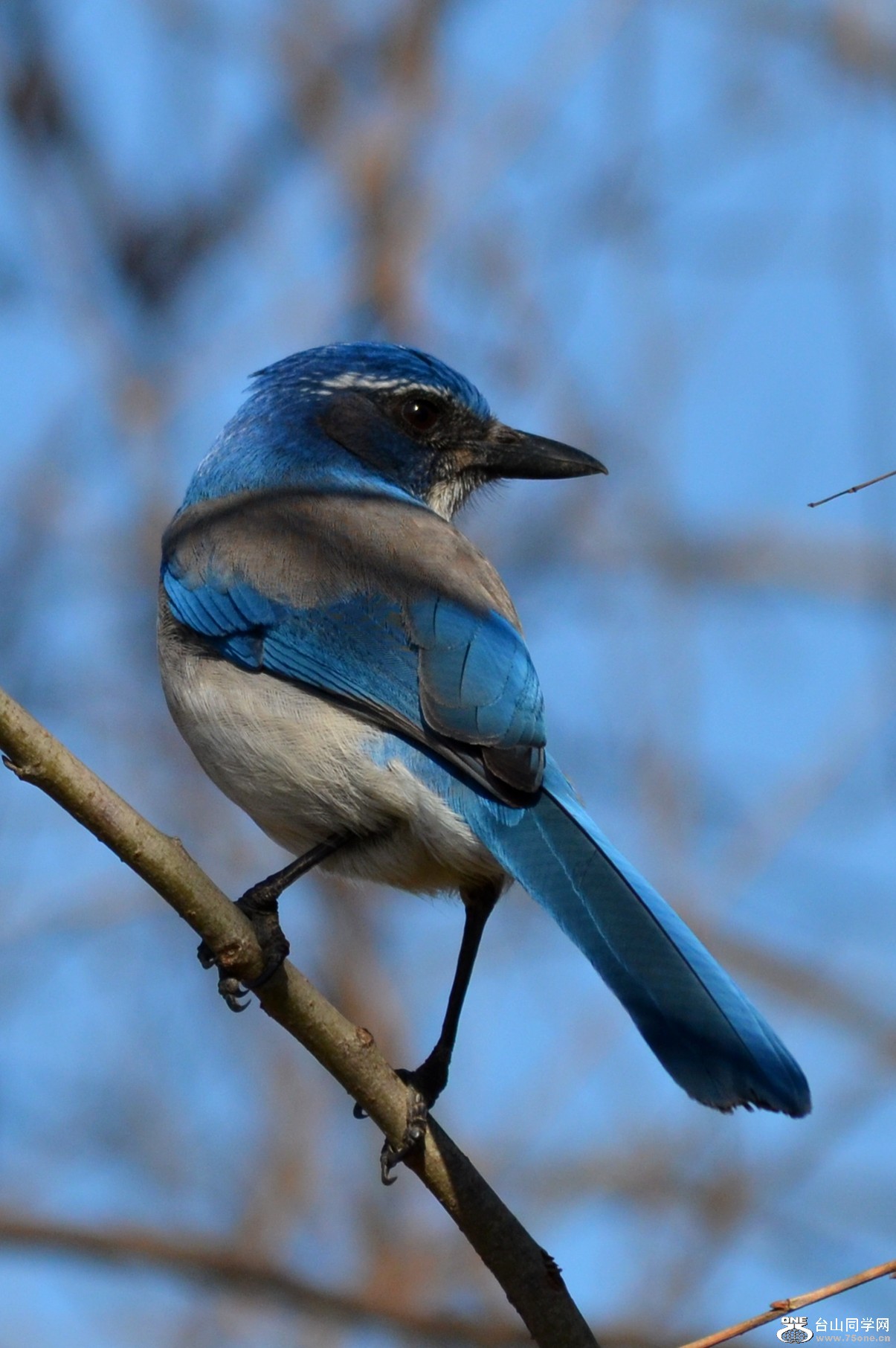 DSC_8168_20.jpg