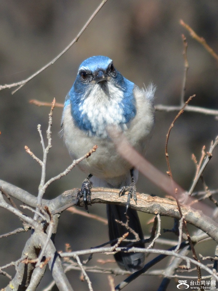 DSC_5157_7.jpg