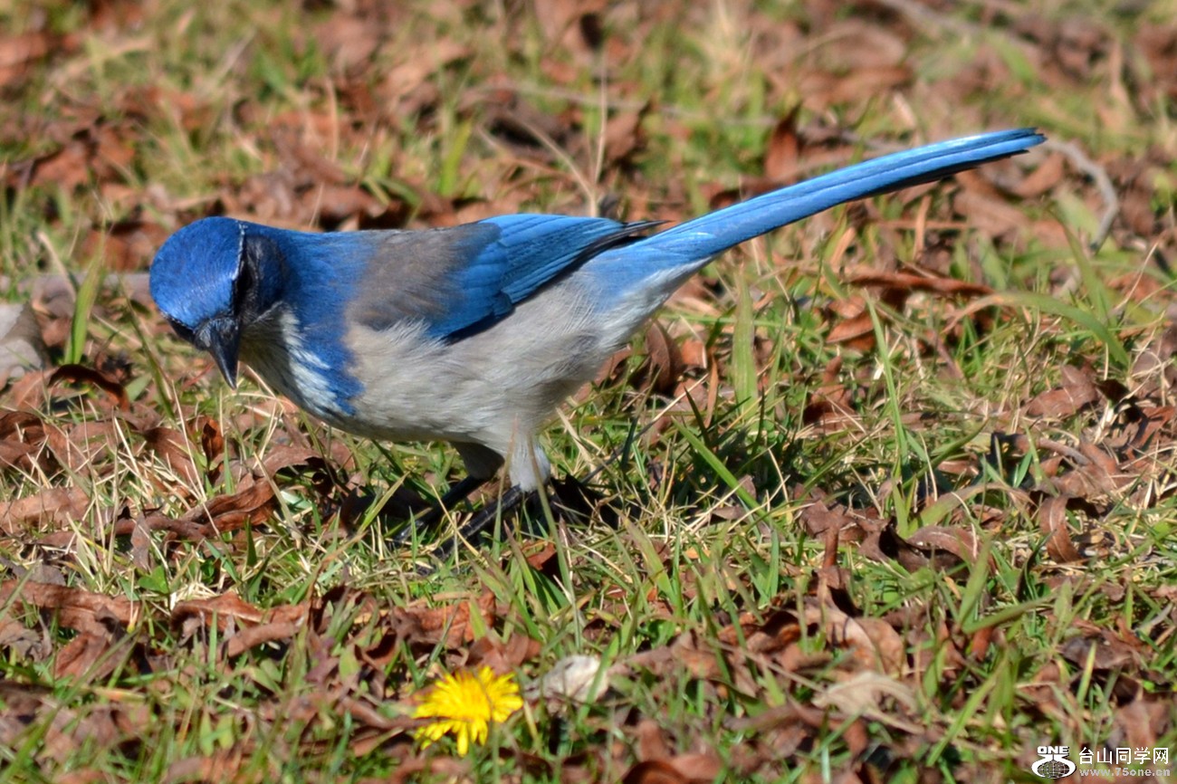 DSC_7701_8.jpg