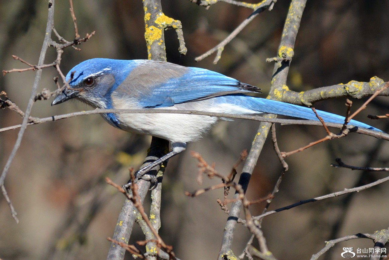 DSC_7991_12.jpg