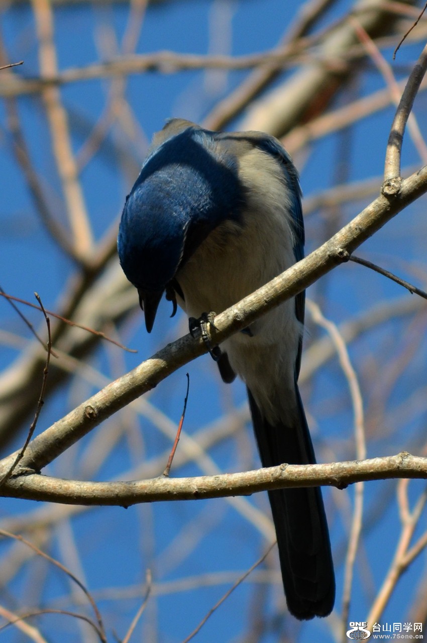 DSC_8299_31.jpg