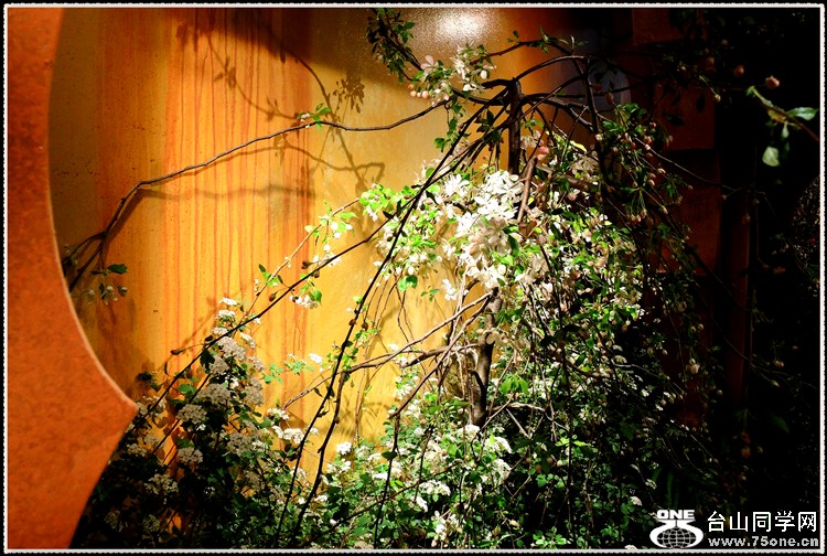 DSCN6236.jpg