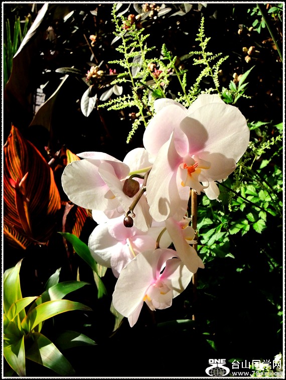 DSCN6228.jpg