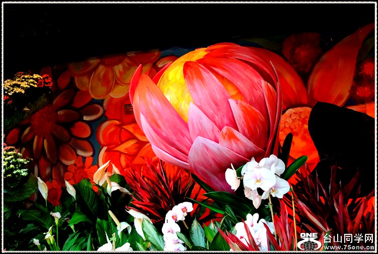 DSCN6284.jpg
