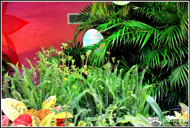 DSCN6265.jpg