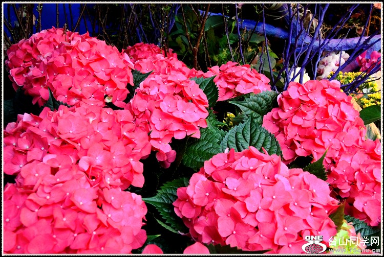 DSCN6270.jpg
