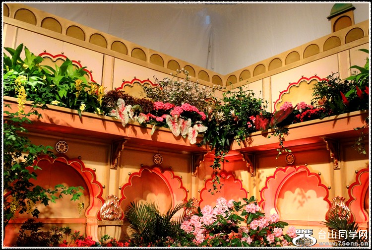 DSCN6169.jpg