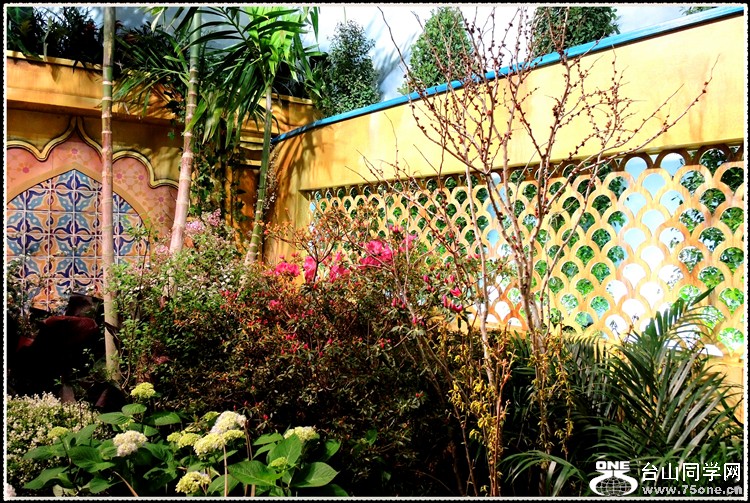 DSCN6206.jpg