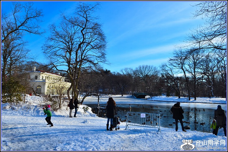 DSC_2637.jpg