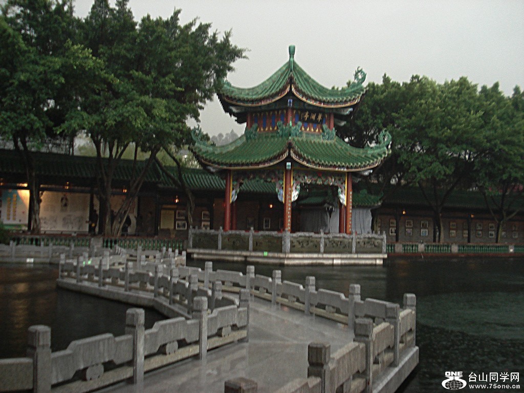 DSC00205.jpg