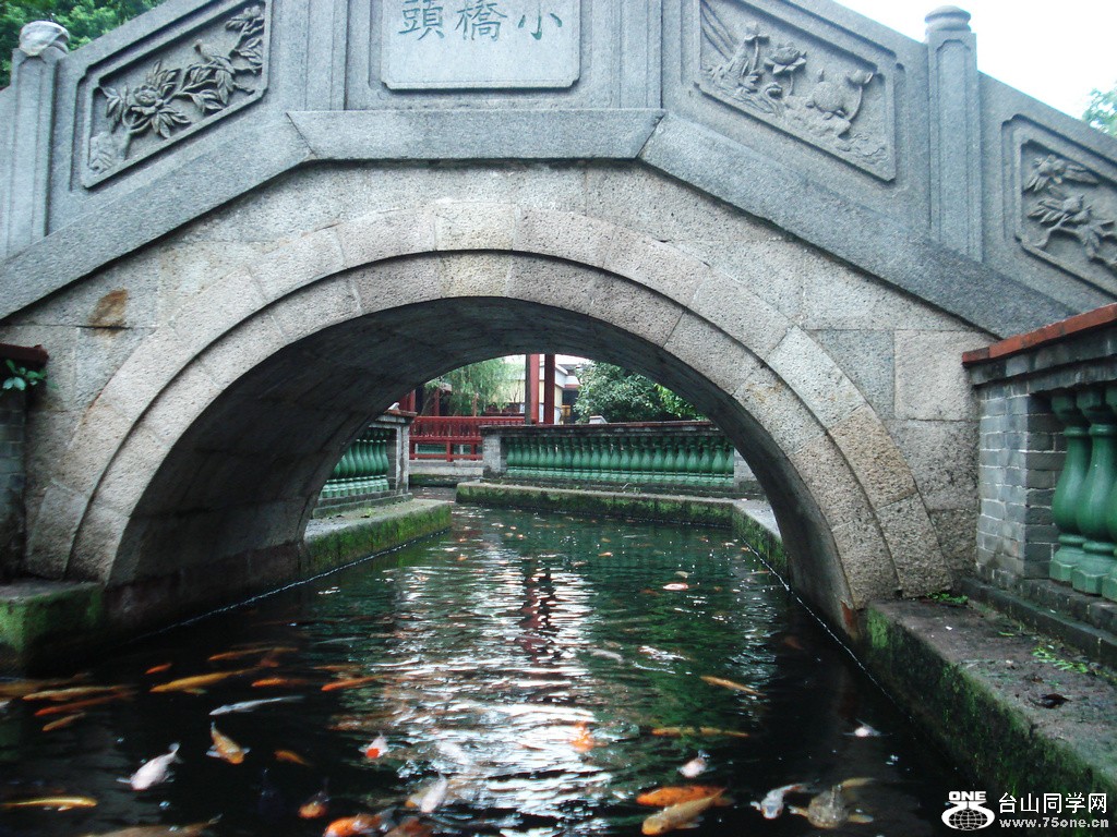 DSC00154.jpg