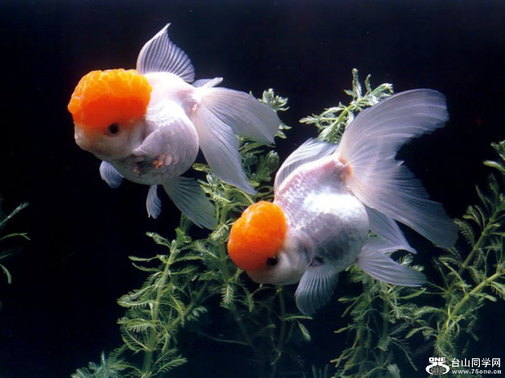 201106122027544947.jpg