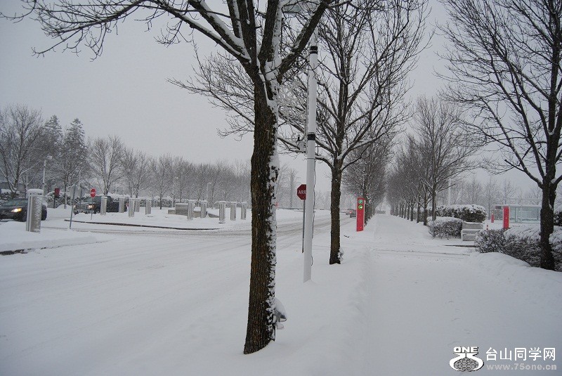 DSC_0015.JPG