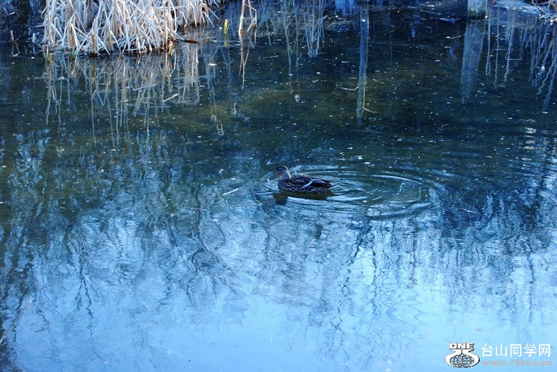 DSC_0061.JPG