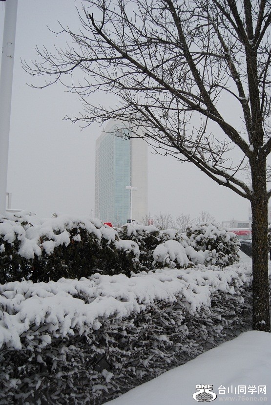 DSC_0014.JPG