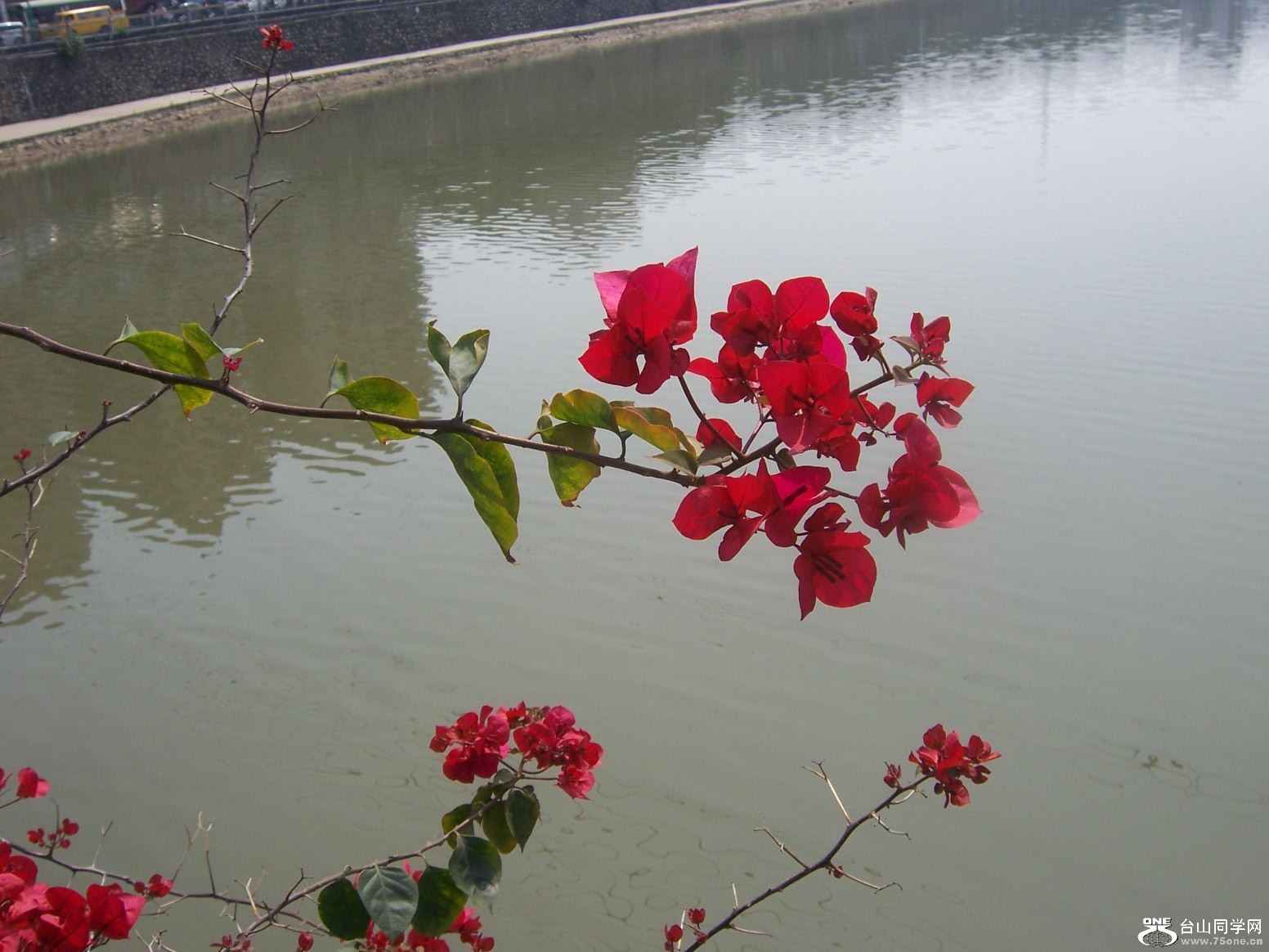 100_3649.JPG