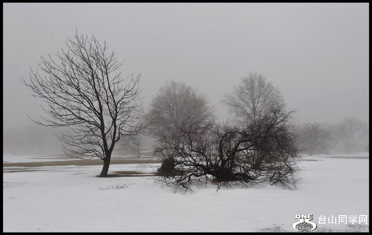 DSC_8115-1.jpg