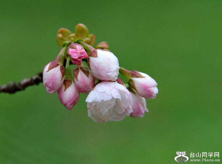 DSC_1235.jpg