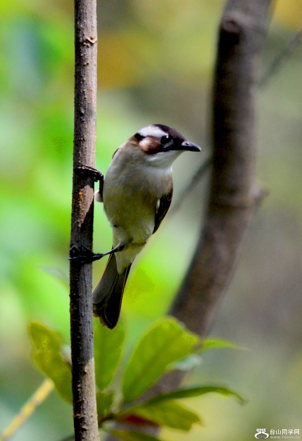 DSC_5961.jpg