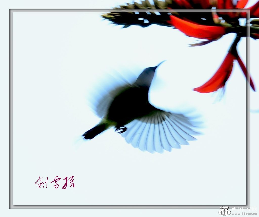 DSC_9173_conew1.jpg