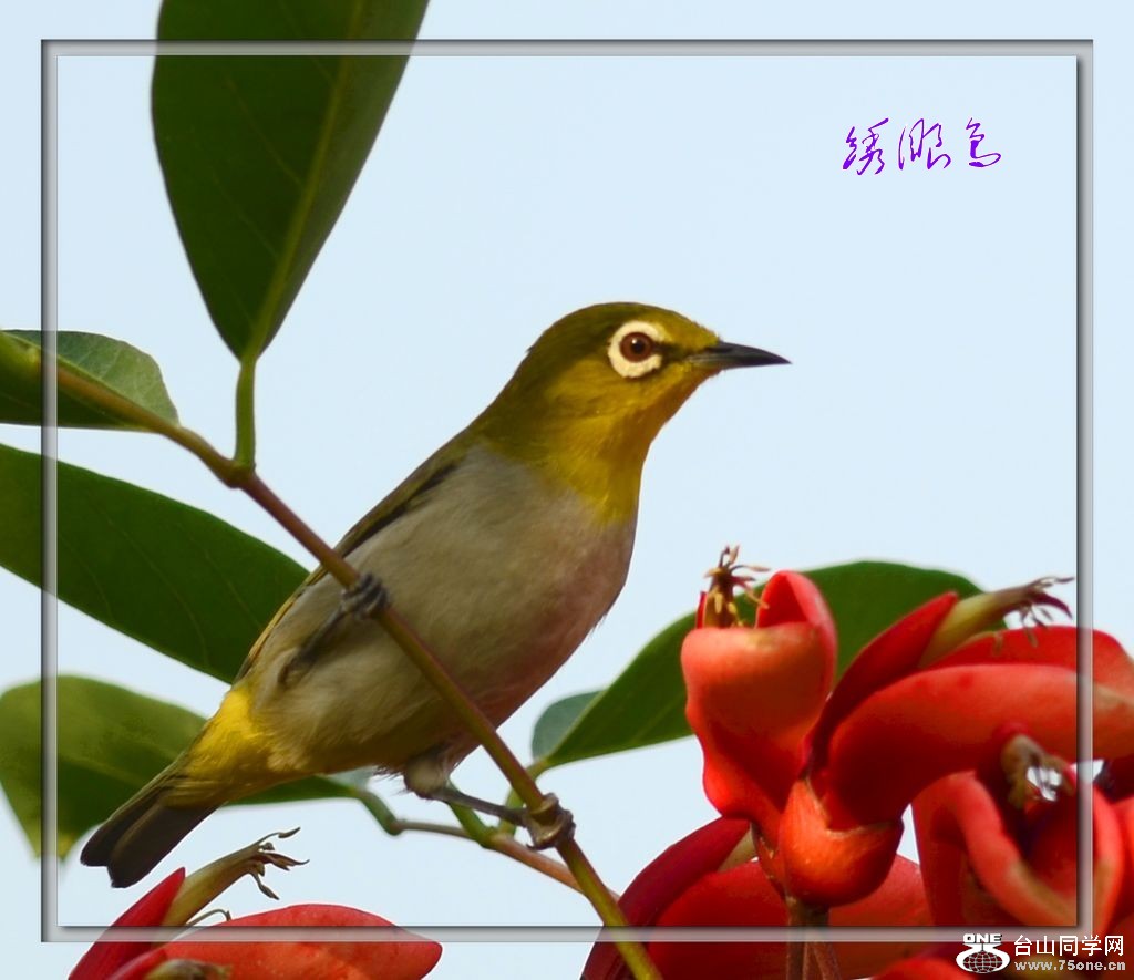 DSC_8074_conew1.jpg