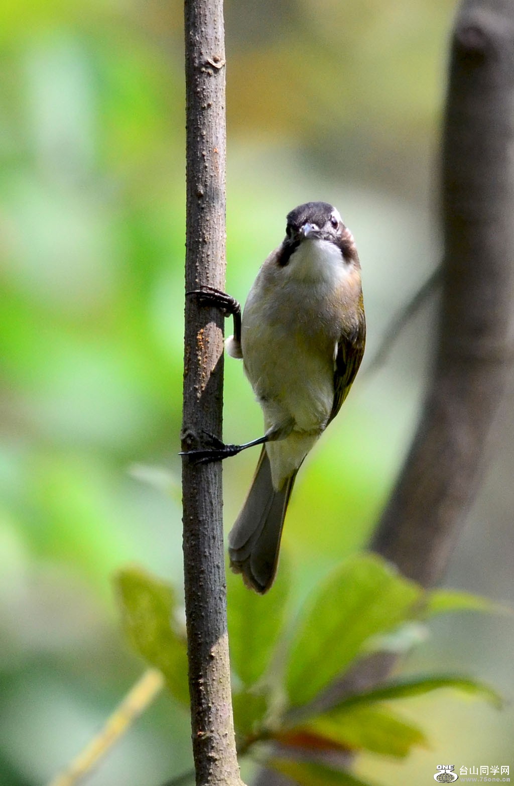 DSC_5966.jpg