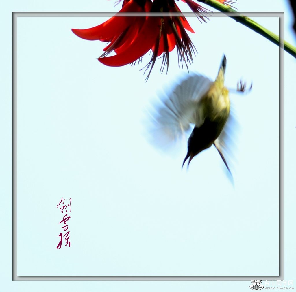 DSC_9283_conew1.jpg