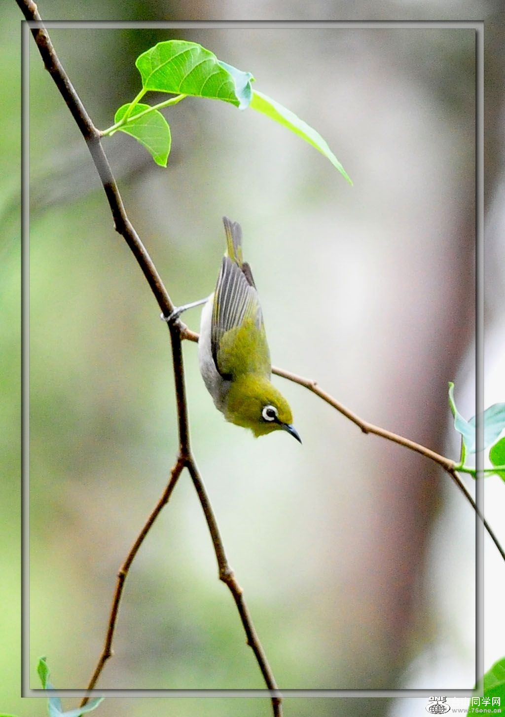 DSC_2030.jpg