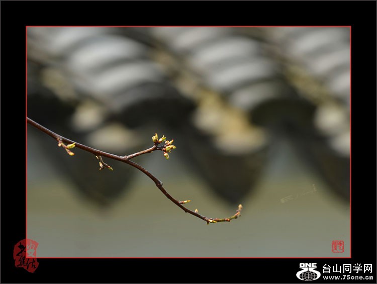751DSC_3298a_.jpg